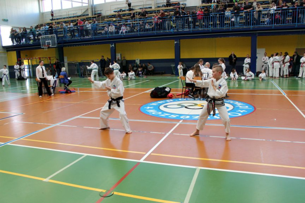 Kolejne sukcesy Taekwondoków z Opolskiego Klubu Sportów Walki !