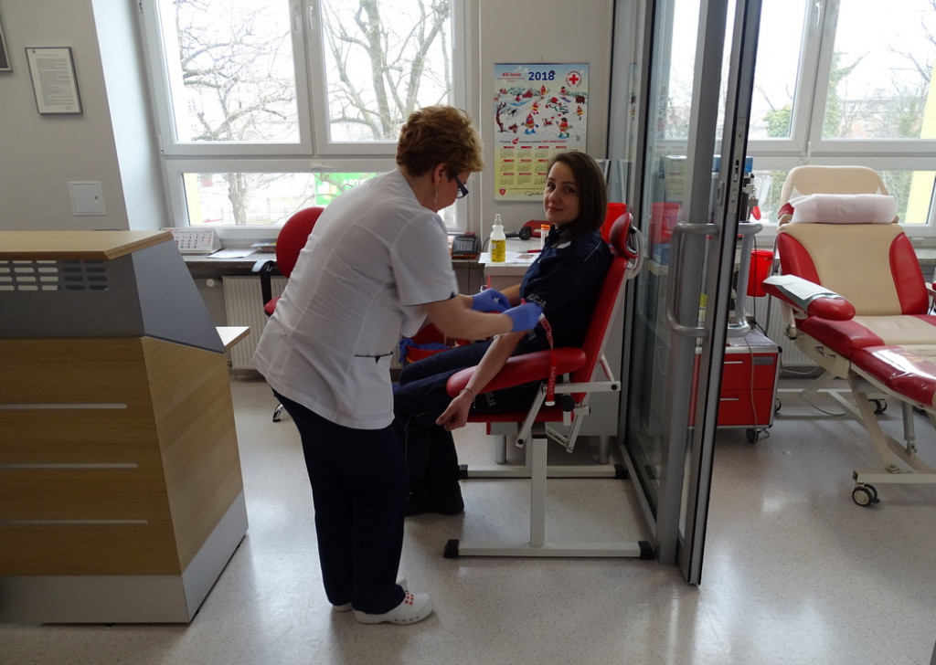 Służby mundurowe podsumowały akcję 