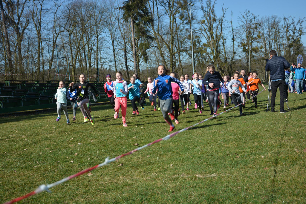 Rewelacyjna Kotwica. Biegi przełajowe w Korfantowie