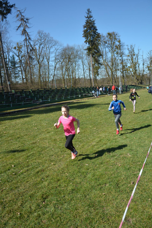 Rewelacyjna Kotwica. Biegi przełajowe w Korfantowie