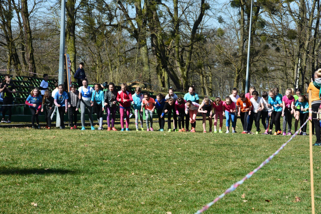 Rewelacyjna Kotwica. Biegi przełajowe w Korfantowie