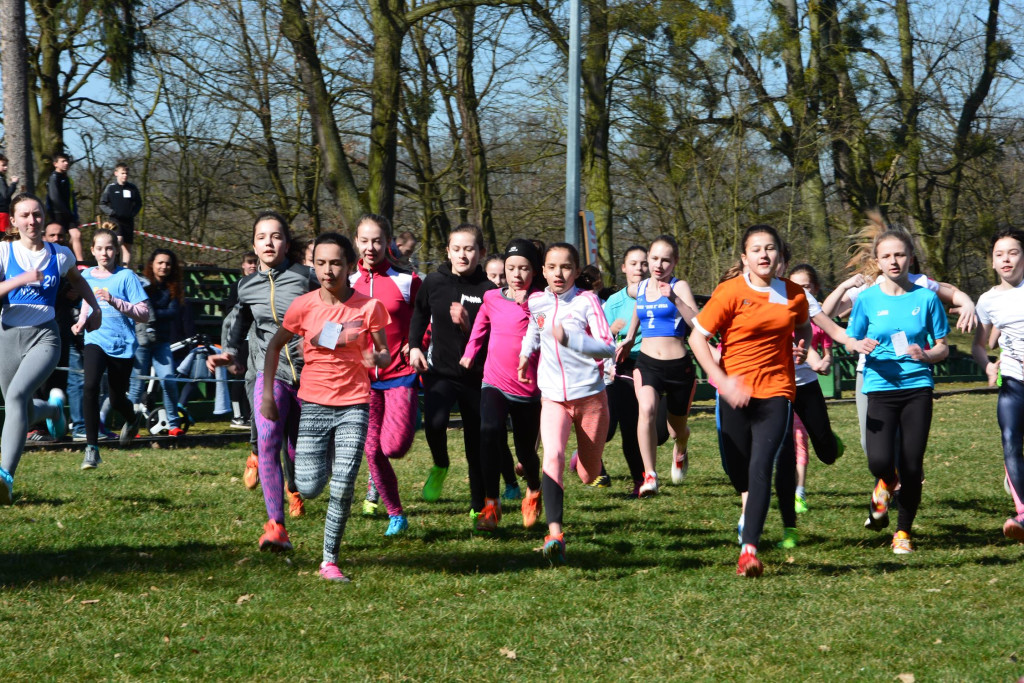 Rewelacyjna Kotwica. Biegi przełajowe w Korfantowie