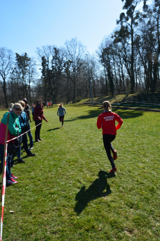 Rewelacyjna Kotwica. Biegi przełajowe w Korfantowie