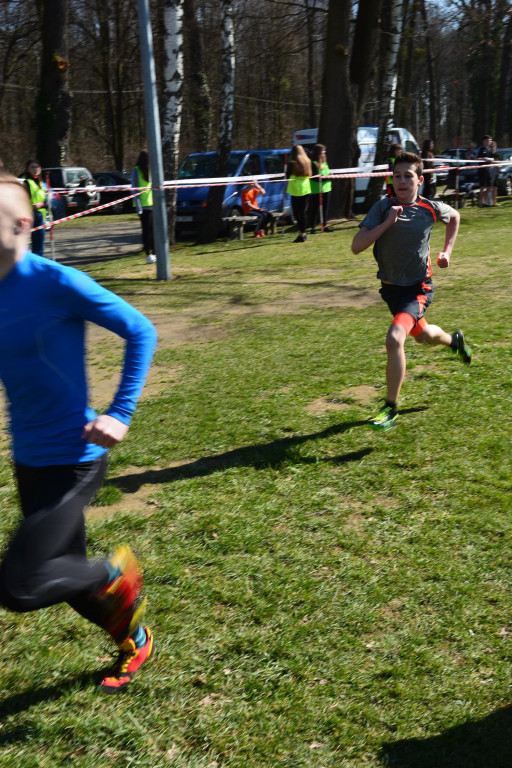 Rewelacyjna Kotwica. Biegi przełajowe w Korfantowie