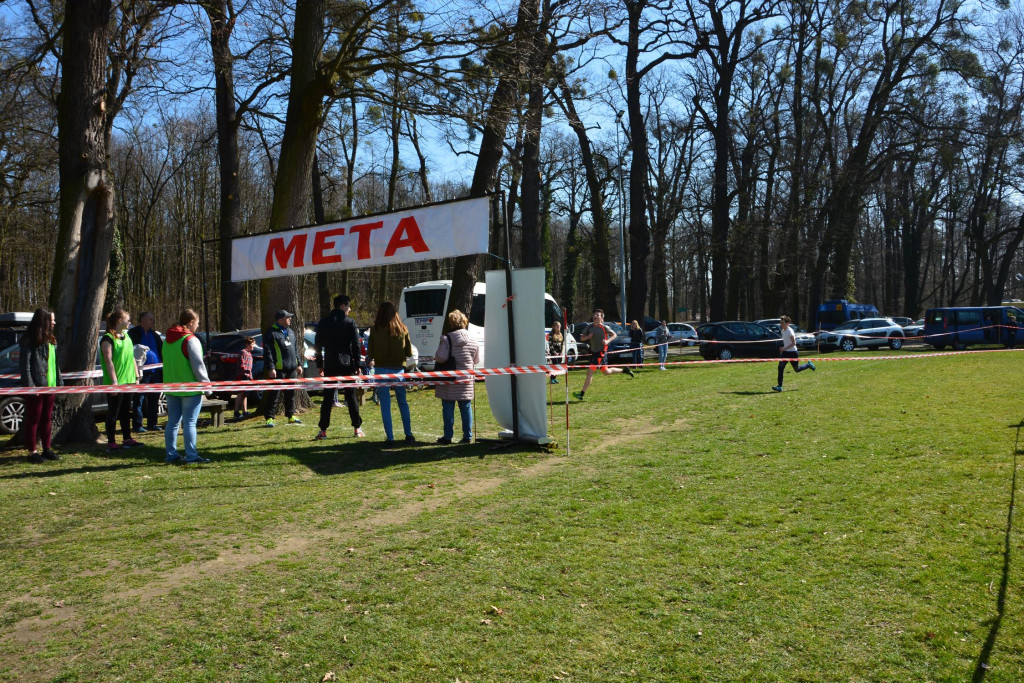 Rewelacyjna Kotwica. Biegi przełajowe w Korfantowie