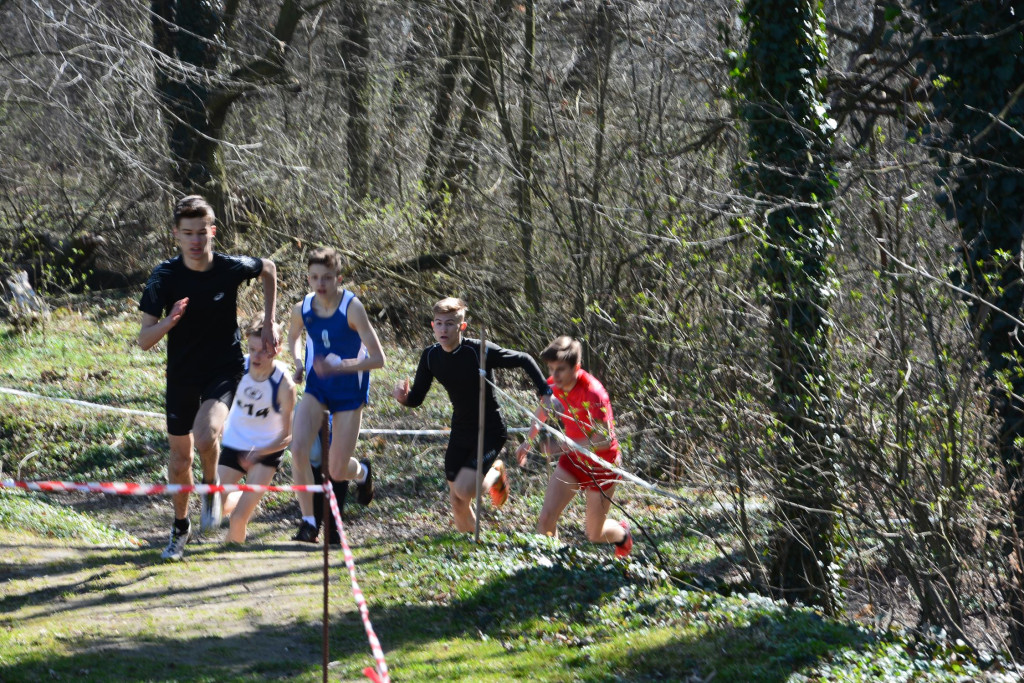 Rewelacyjna Kotwica. Biegi przełajowe w Korfantowie