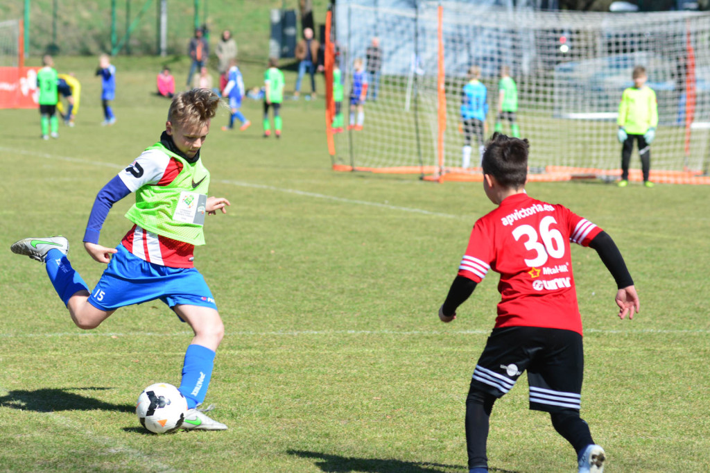 Finały wojewódzkie o pucha 