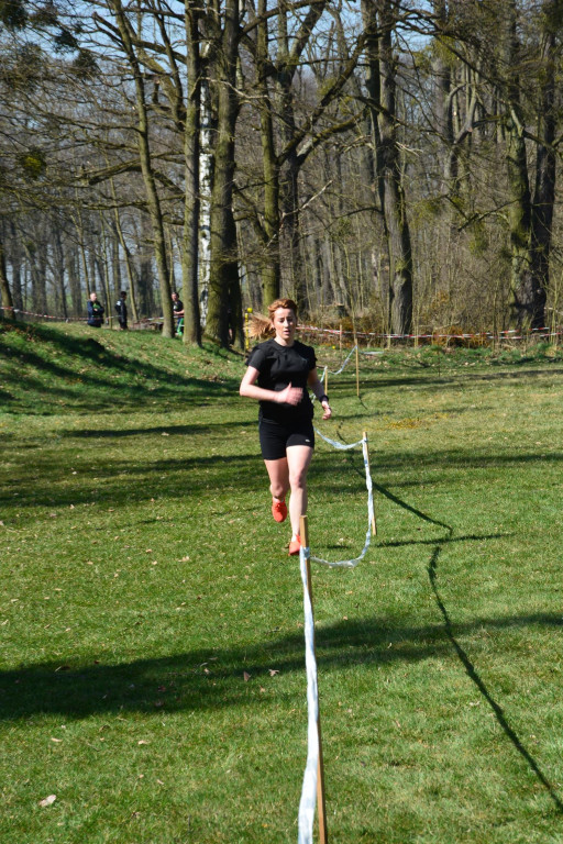 Rewelacyjna Kotwica. Biegi przełajowe w Korfantowie