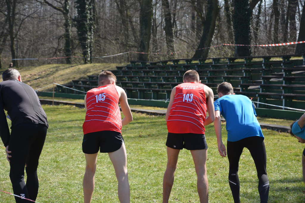 Rewelacyjna Kotwica. Biegi przełajowe w Korfantowie