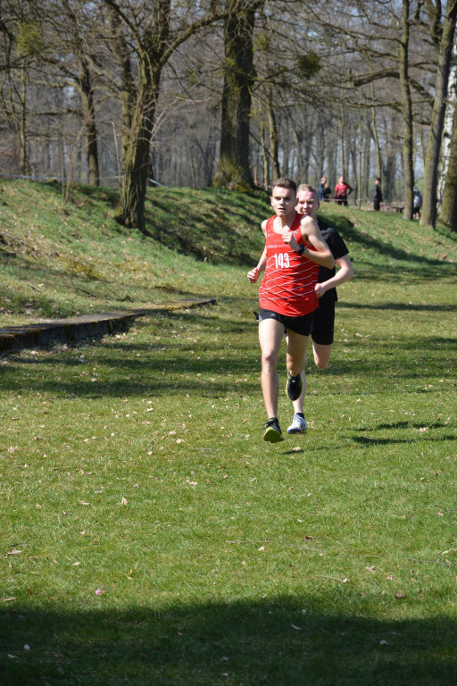 Rewelacyjna Kotwica. Biegi przełajowe w Korfantowie