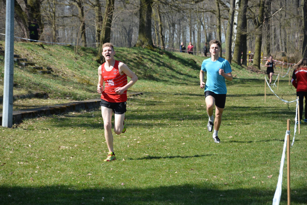 Rewelacyjna Kotwica. Biegi przełajowe w Korfantowie