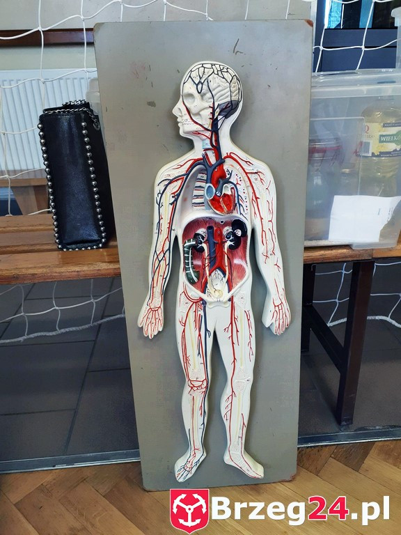 I ty możesz zostać naukowcem - Ósemka eksperymentuje!