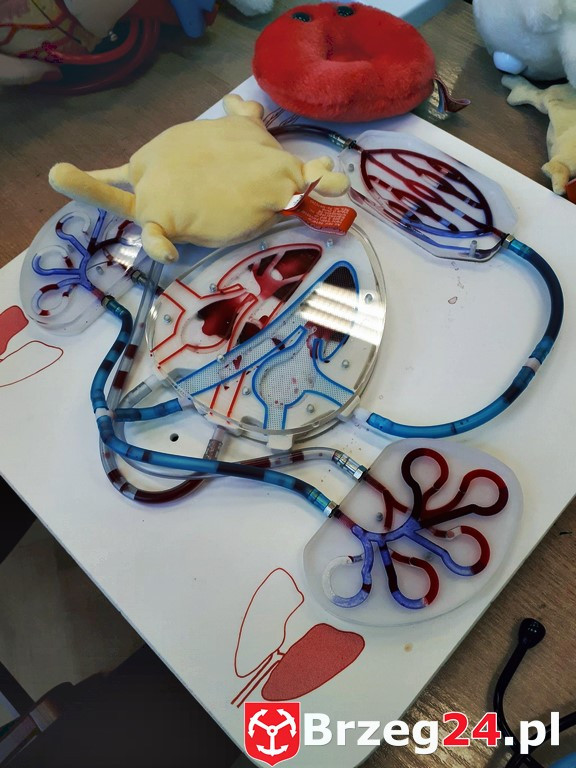 I ty możesz zostać naukowcem - Ósemka eksperymentuje!