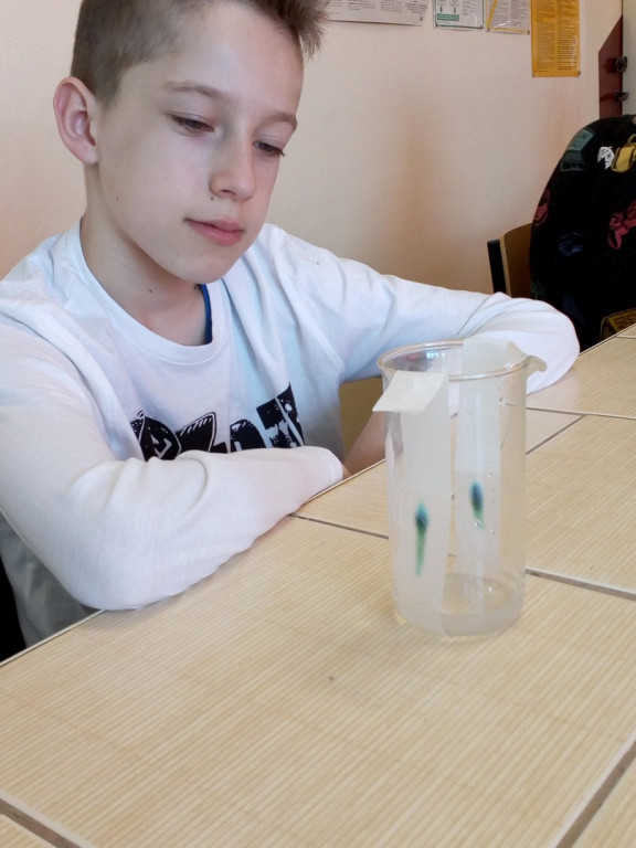 Odkrywcy sekretów nauki - zajęcia unijne w PSP 5