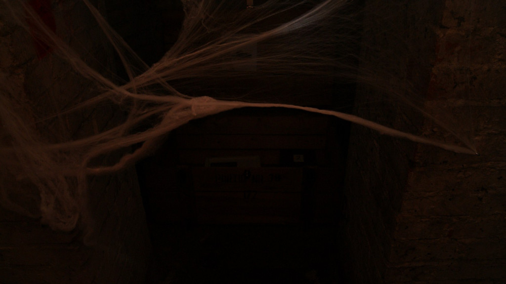 Książęce Manewry na piątkę