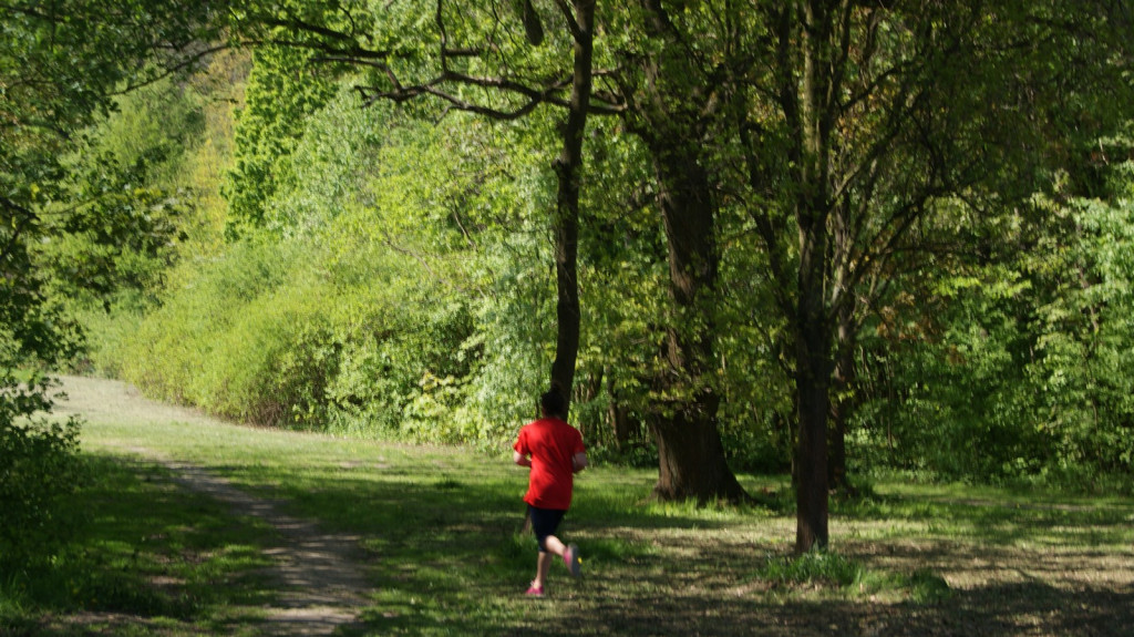 Książęce Manewry na piątkę