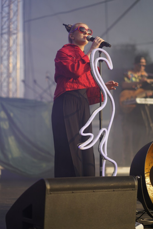 Dni Księstwa Brzeskiego 2018. Koncert Sarsy [fotorelacja]