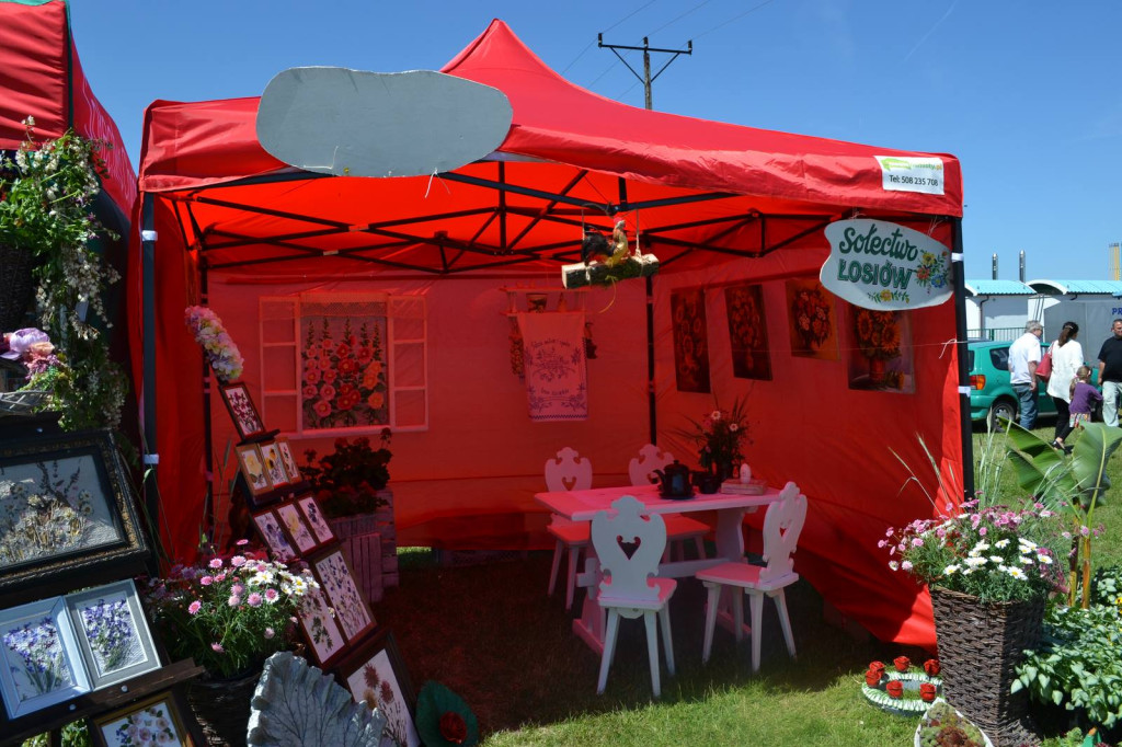 220 wystawców i tysiące odwiedzających wzięło udział w XIX Targach Ogrodniczych 