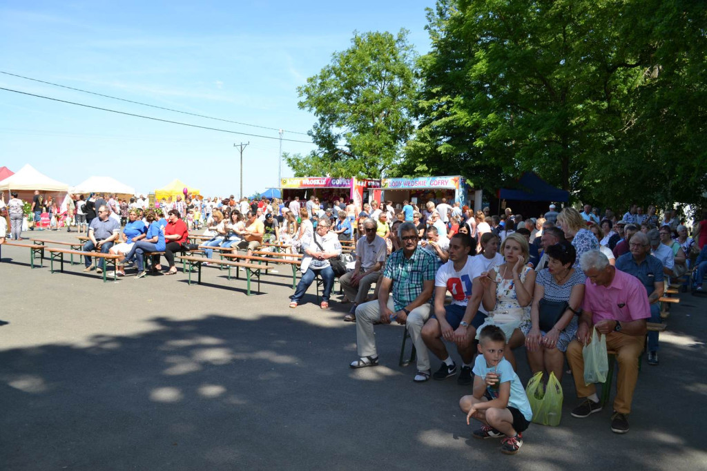 220 wystawców i tysiące odwiedzających wzięło udział w XIX Targach Ogrodniczych 