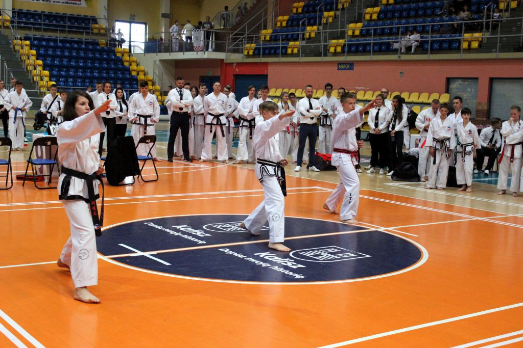 Multi sukcesy zawodników z Opolskiego Klubu Sportów Walki. Łącznie zdobyli 32 złote, 31 srebrnych i 24 brązowe medale!