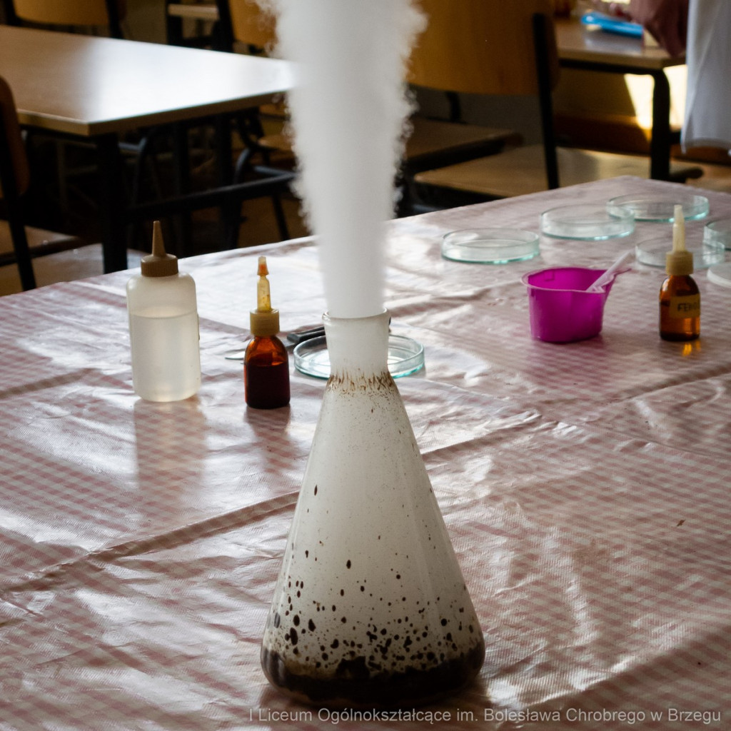 Dzień otwarty w I LO w Brzegu