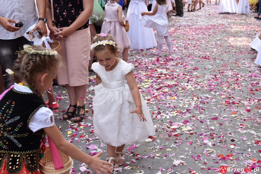 Boże Ciało w Brzegu. Międzyparafialna procesja przeszła ulicami miasta