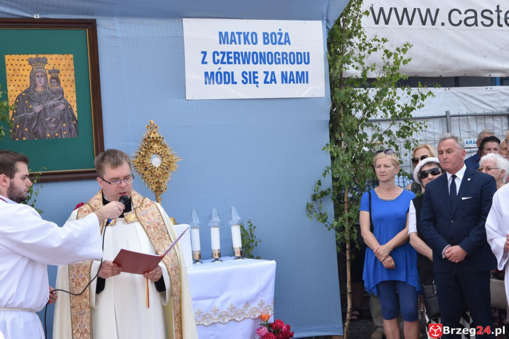 Boże Ciało w Brzegu. Międzyparafialna procesja przeszła ulicami miasta