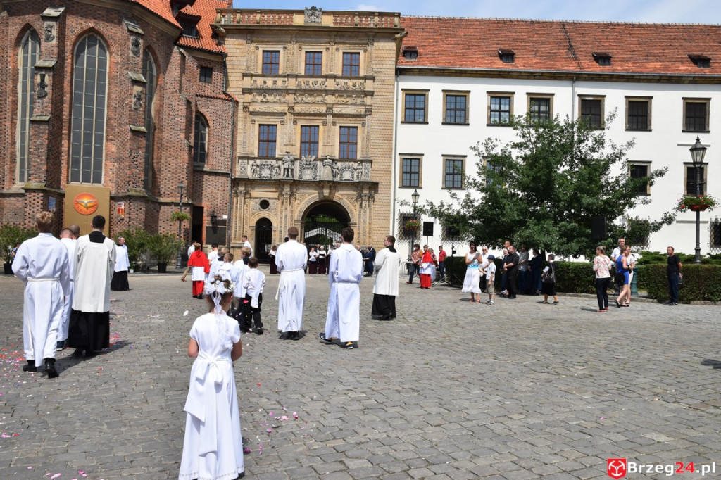 Boże Ciało w Brzegu. Międzyparafialna procesja przeszła ulicami miasta