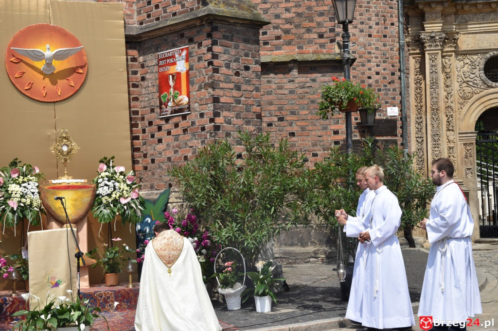 Boże Ciało w Brzegu. Międzyparafialna procesja przeszła ulicami miasta