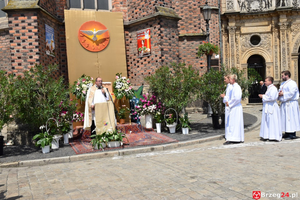 Boże Ciało w Brzegu. Międzyparafialna procesja przeszła ulicami miasta