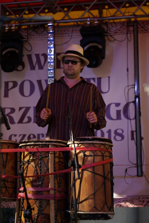 Święto Powiatu Brzeskiego 2018 - dzień pierwszy [fotorelacja]