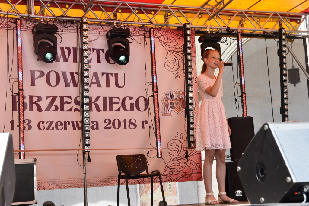 ŚPB 2018: Turniej Gmin, występ młodzieżowych talentów i nocne zwiedzanie muzeum