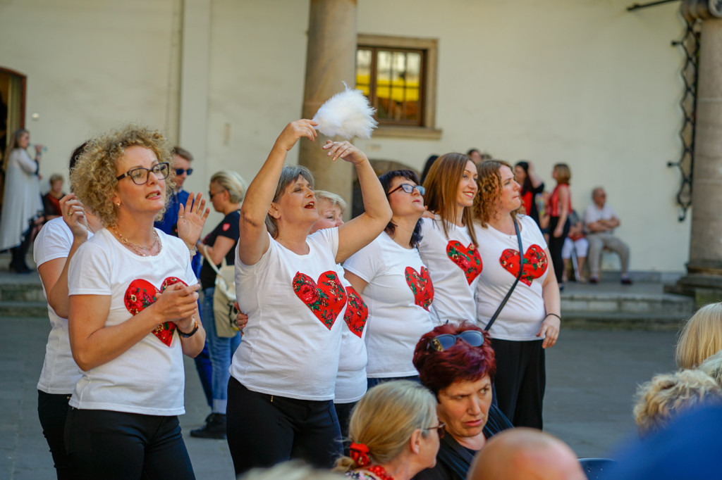 Polscy artyści mieszkający za granicą najechali na Zamek Piastów Śląskich