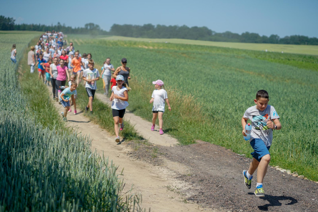 XXIV Bieg Olimpijski im. Z. Zielonki w Jędrzejowie [fotorelacja]