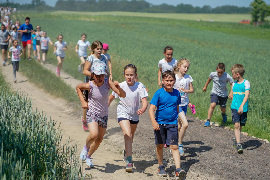 XXIV Bieg Olimpijski im. Z. Zielonki w Jędrzejowie [fotorelacja]