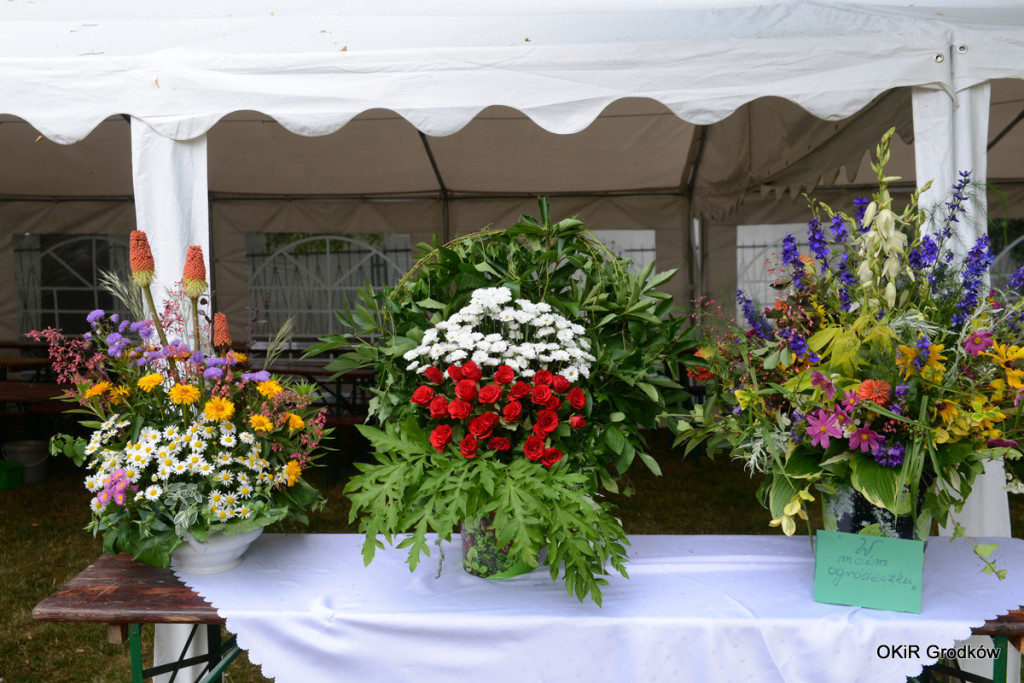 Dni Grodkowa - podsumowanie