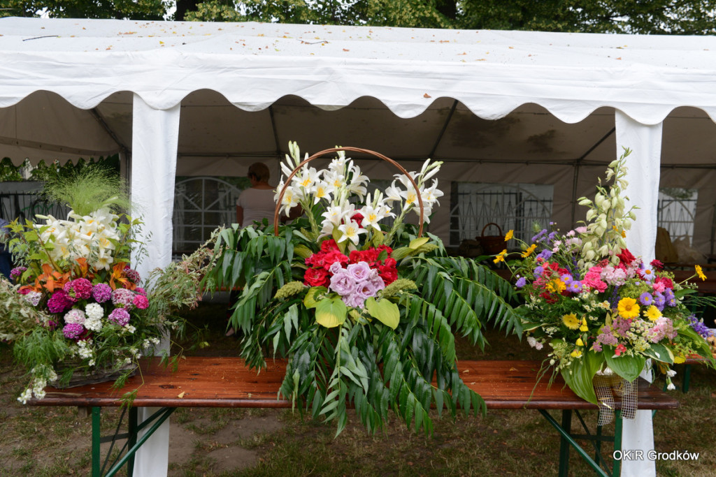 Dni Grodkowa - podsumowanie