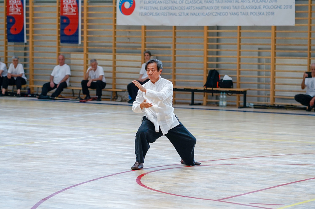 I Europejski Festiwal Wschodnich Sztuk Walki w Grodkowie [fotorelacja]