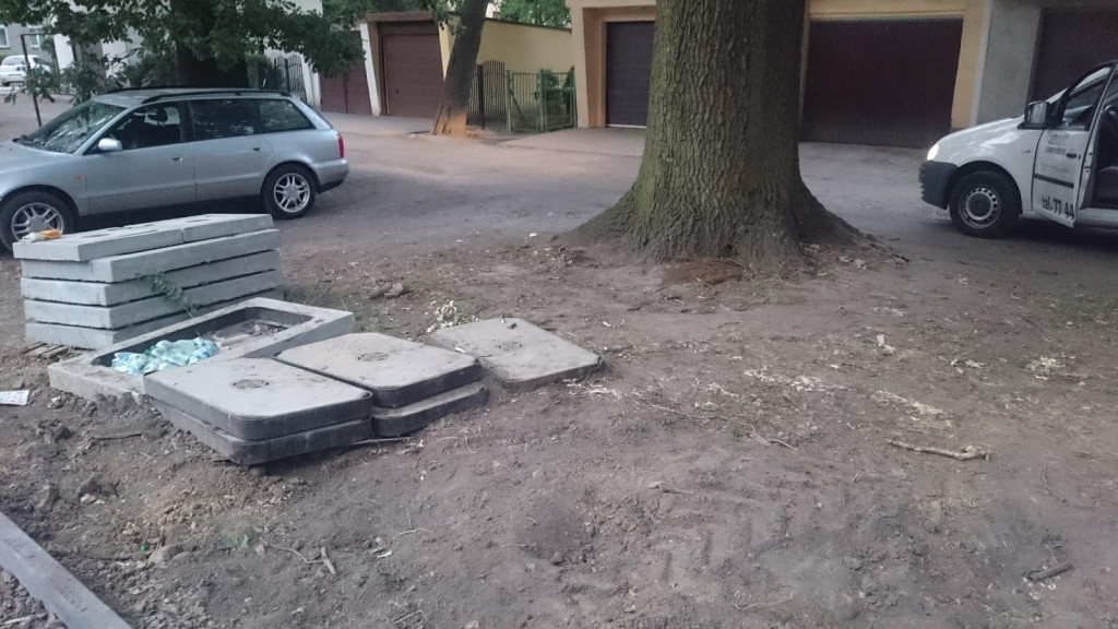 Drzewa w Alei Dębowej - pomniki przyrody - mogły zostać uszkodzone