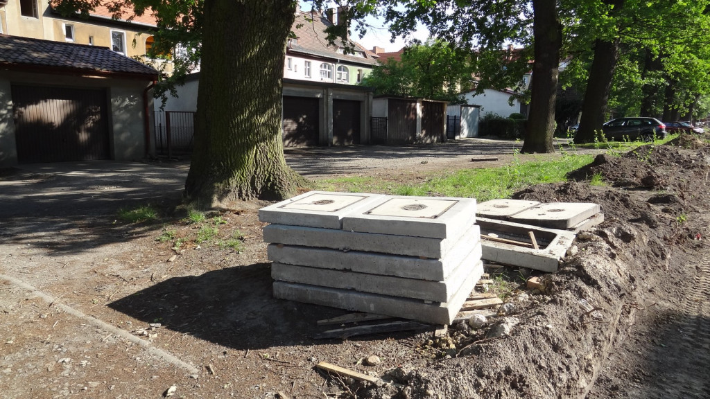 Drzewa w Alei Dębowej - pomniki przyrody - mogły zostać uszkodzone