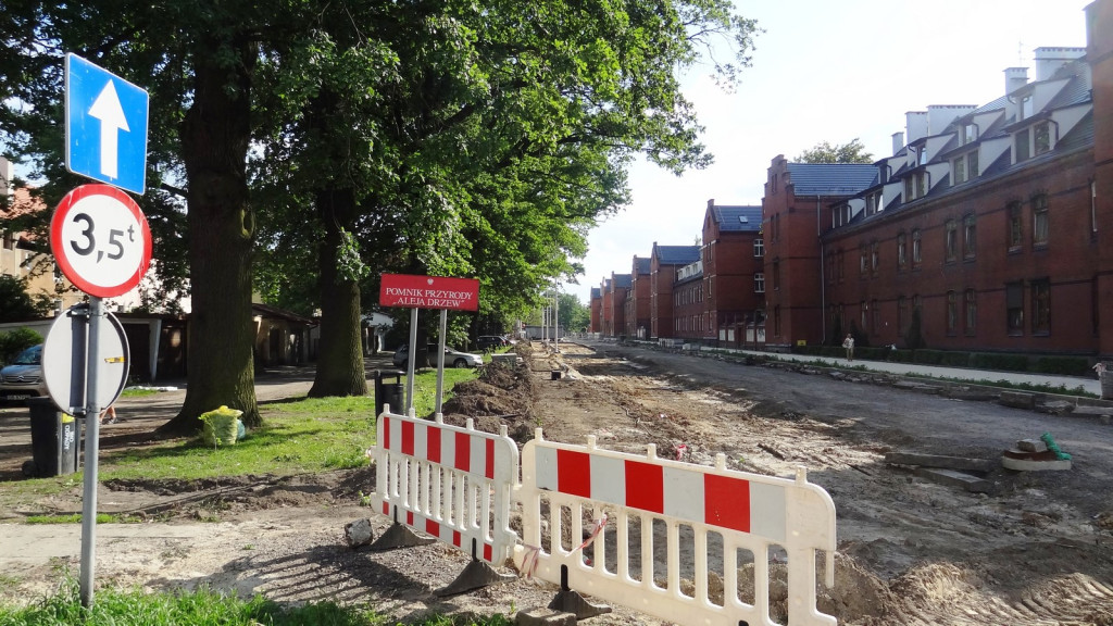 Drzewa w Alei Dębowej - pomniki przyrody - mogły zostać uszkodzone