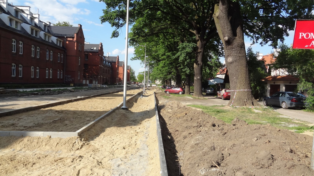 Drzewa w Alei Dębowej - pomniki przyrody - mogły zostać uszkodzone