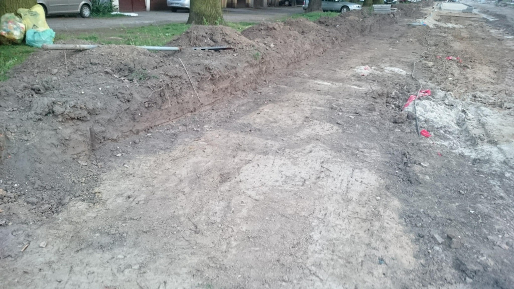 Drzewa w Alei Dębowej - pomniki przyrody - mogły zostać uszkodzone