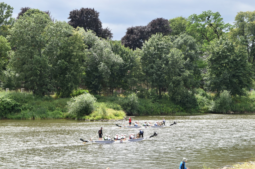 II Regaty smoczych łodzi, food trucki i koncerty - Moc atrakcji 
