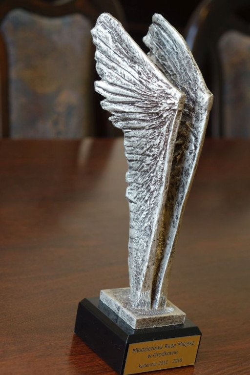 Koniec kadencji Młodzieżowej Rady Miejskiej w Grodkowie