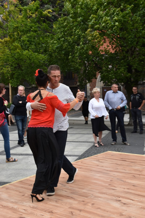 W Brzegu trwa Festiwal Tanga