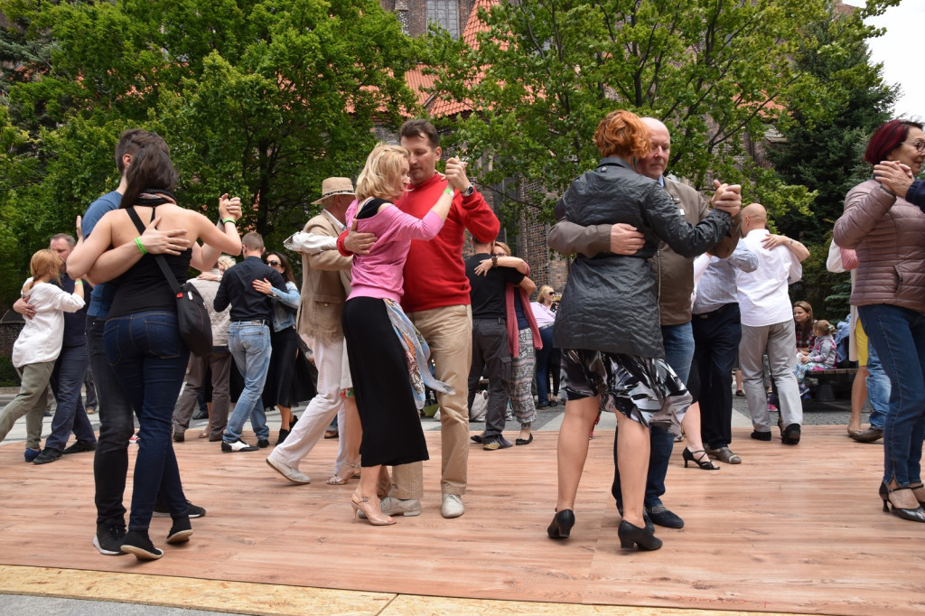 W Brzegu trwa Festiwal Tanga