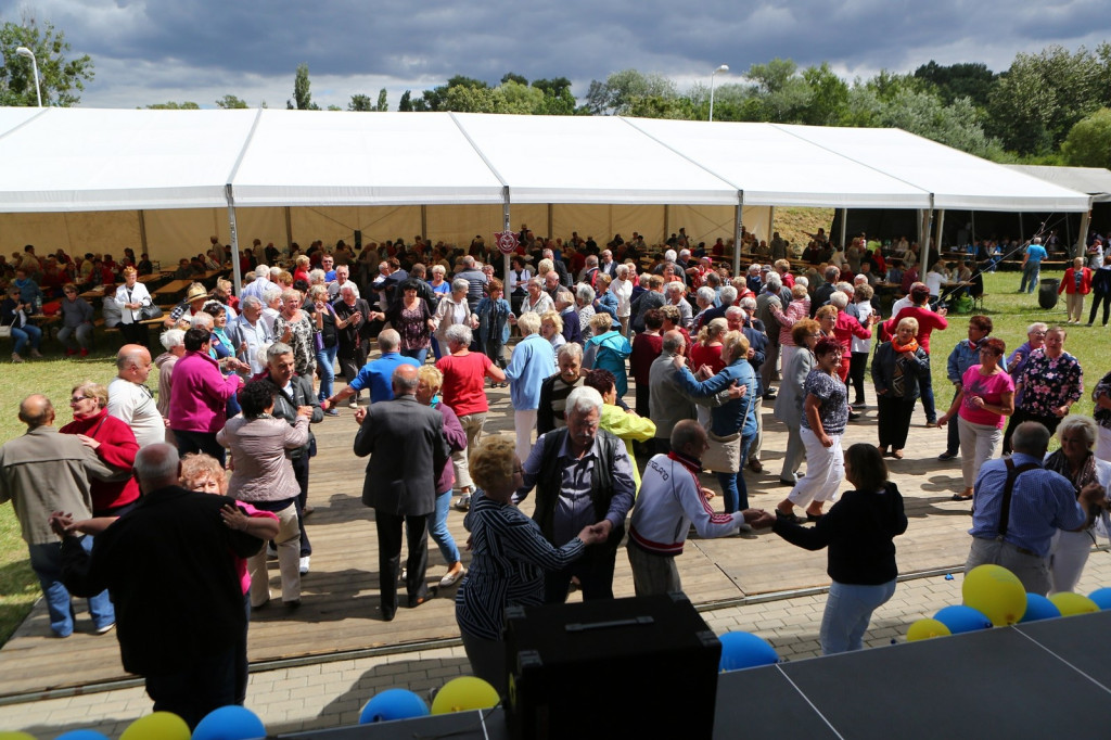 OSP Mąkoszyce i OSP KSRG Lubsza na 17. Wojewódzkich Obchodach Dnia Inwalidy