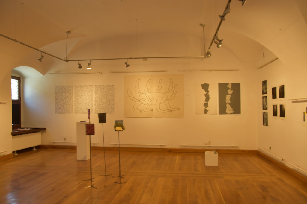 Wystawa studentów z wrocławskiej Akademii Sztuk Pięknych dotarła do Brzegu