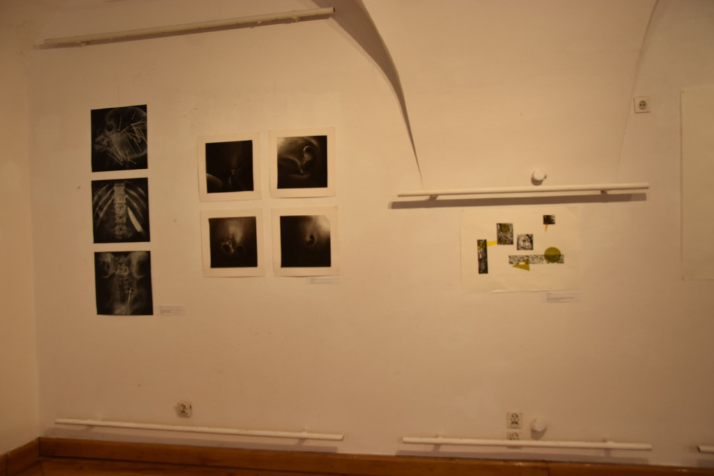 Wystawa studentów z wrocławskiej Akademii Sztuk Pięknych dotarła do Brzegu